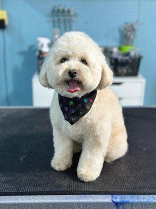 Guarneri Grooming Salon