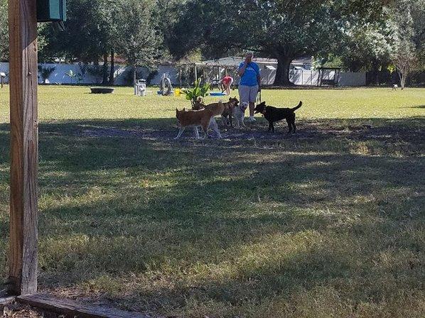 Dr Otts Off Leash Dog Sanctuary