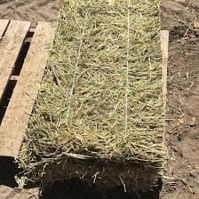 Wilson Hay Farms