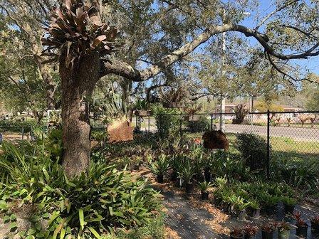 Faye's Place Plant Nursery