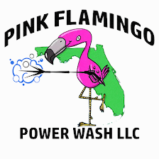 Pink Flamingo Power Wash