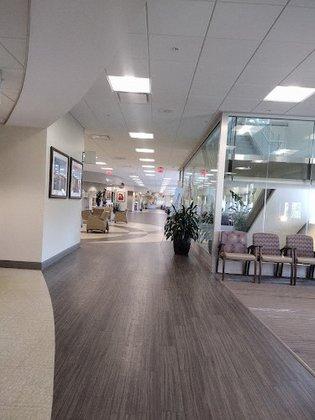 BayCare Laboratories (St. Anthony's Hospital)