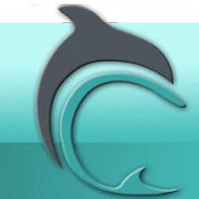 Dolphin Financial Group