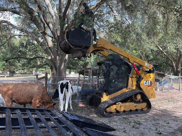 Agricultural Management Group - Forestry Mulching & Land Service