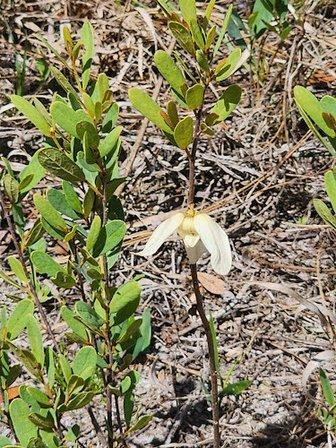 Half Moon Wildlife Management Area - Potter Property