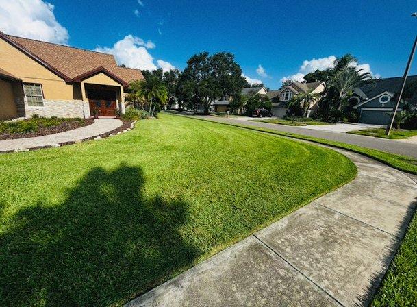 Alfonso's Lawn and Landscaping