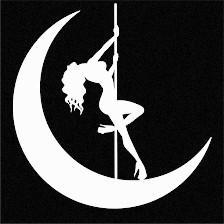 Studio Nightshade Pole Dance