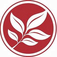 St. Petersburg Health & Wellness