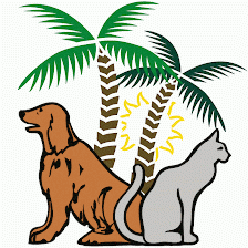 Court Street Animal Hospital