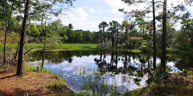 Half Moon Wildlife Management Area