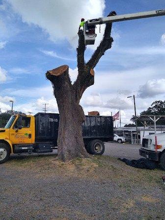 Mid-Florida Tree Service, Inc.