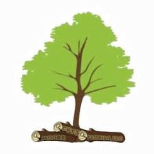 Moore Cuts Florida Tree Service