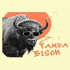 Tampa Bison