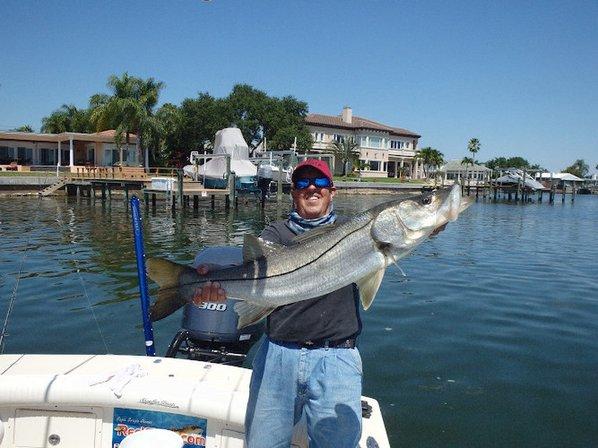 Reelfishy.com