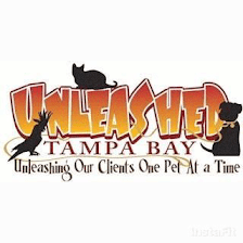 Unleashed Tampa Bay