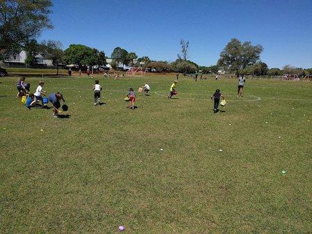 Soccer Field