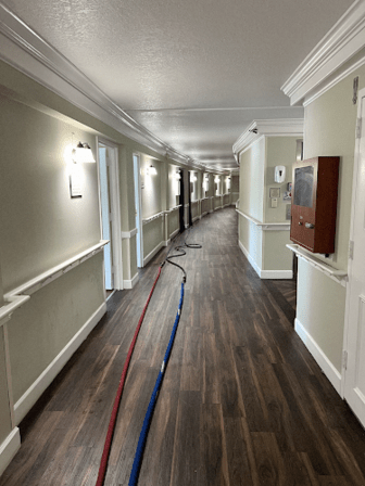 Bed Bug Exterminator
