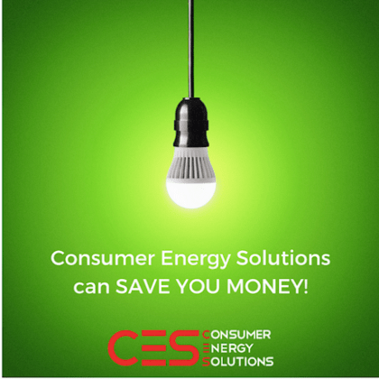 Consumer Energy Solutions Inc