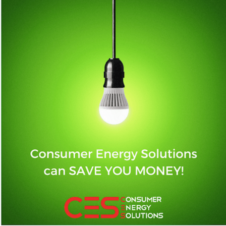 Consumer Energy Solutions Inc