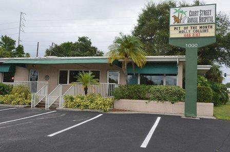 Court Street Animal Hospital