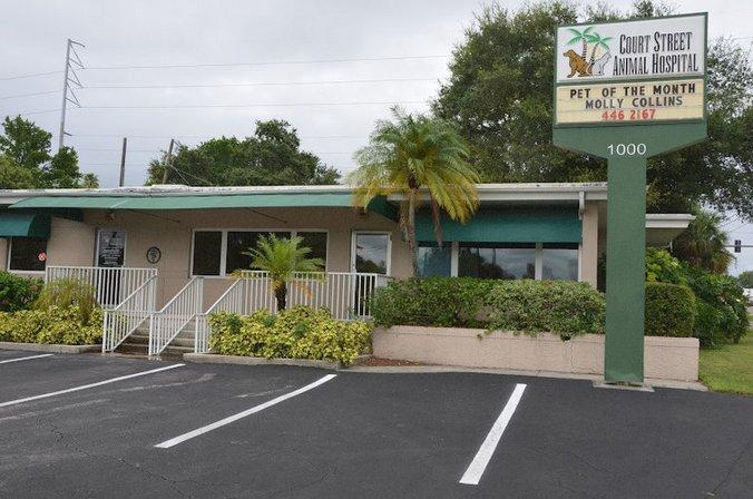Court Street Animal Hospital