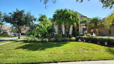 The green masters of Tampa Bay