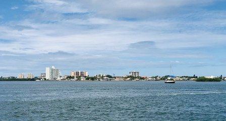 Flippers Fun Boat Clearwater - #1 Dolphin Tour