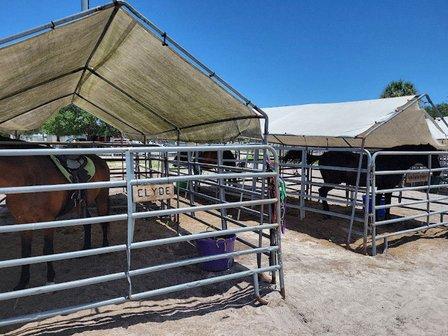 Sun City Stables