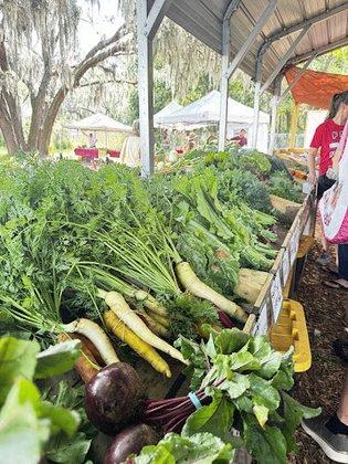Passion Organic Farm