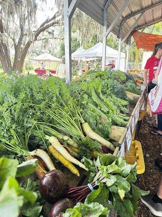 Passion Organic Farm