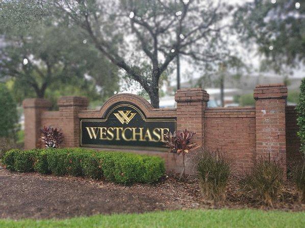 Westchase Linebaugh Professional center