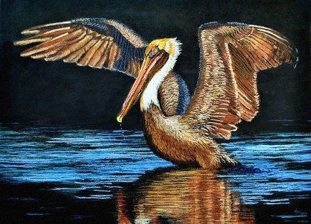 Donna Morrison Fine Painting / Smith Bros Framing and Gallery
