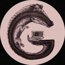 Gator Basic Computer Services (By Appointment Only)