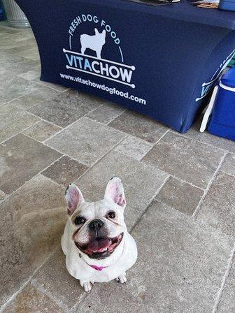 Vitachow Dog Food