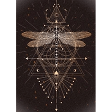 Raising Vibrations PLLC