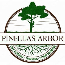 Pinellas Arbor