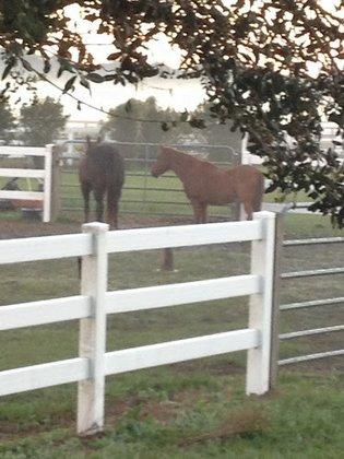 Rockin' V Ranch LLC