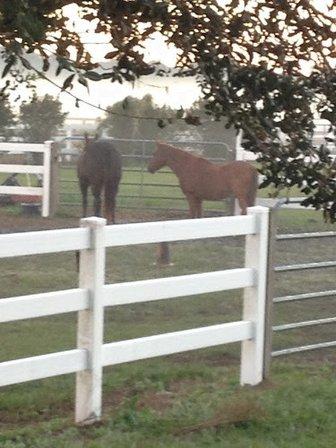 Rockin' V Ranch LLC
