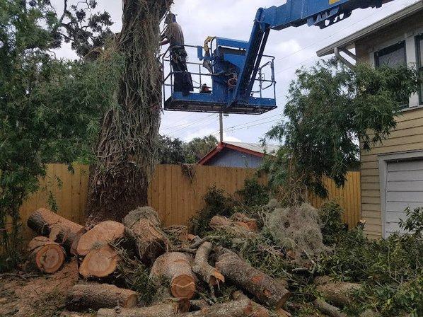 Moore Cuts Florida Tree Service