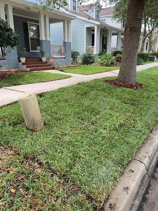 Green Bay Tampa LLC