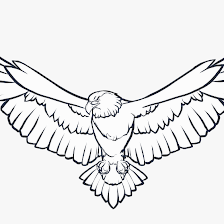 Sky-View Glass LLC