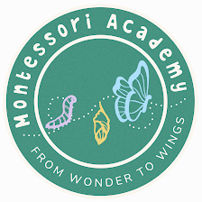Montessori Academy of Carrollwood