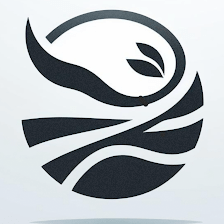 A SecondWind Consulting Group, LLC