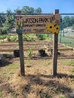 Watson Park Community Garden