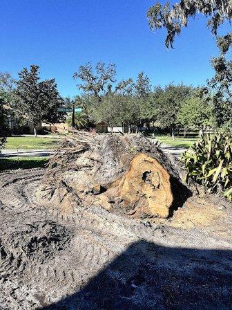 JW Green Scape, LLC