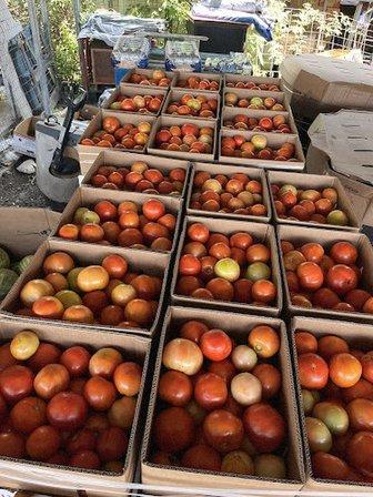 Cantu Produce Inc