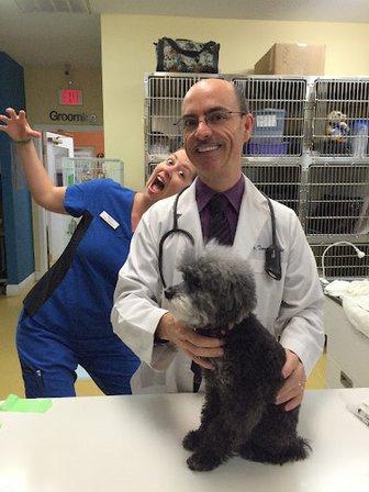 Harbourside Animal Hospital