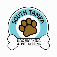 South Tampa Dog Walking & Pet Sitting