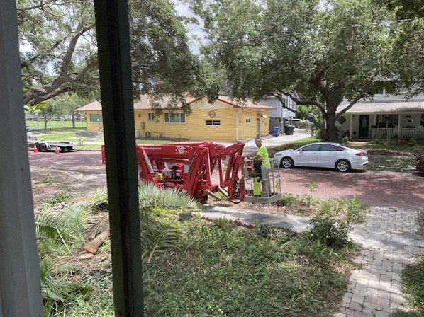 Element Tree Care LLC.