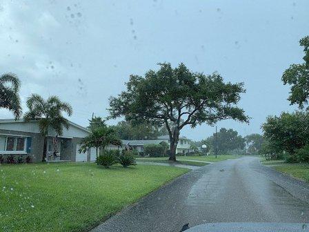 Bay City Tree Services